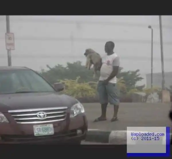 Only In Lagos: Man Hawks Dog In Traffic (Photos)